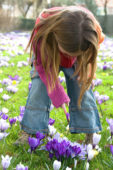 Girl touching Crocus