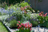 Summer border