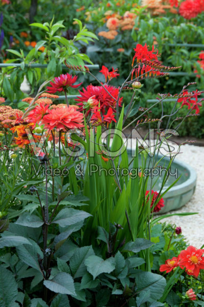 Summer garden Summer garden