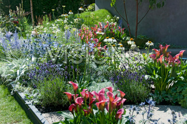 Zomer border Zomer border