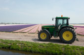 Tractor at bulb field