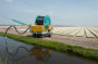 Watering bulb field