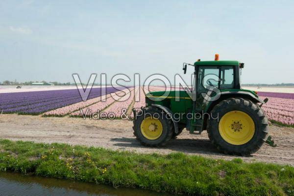 Tractor at bulb field