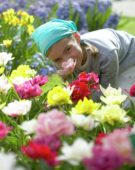 Girl smelling tulip