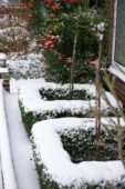 Voortuin bedekt met sneeuw