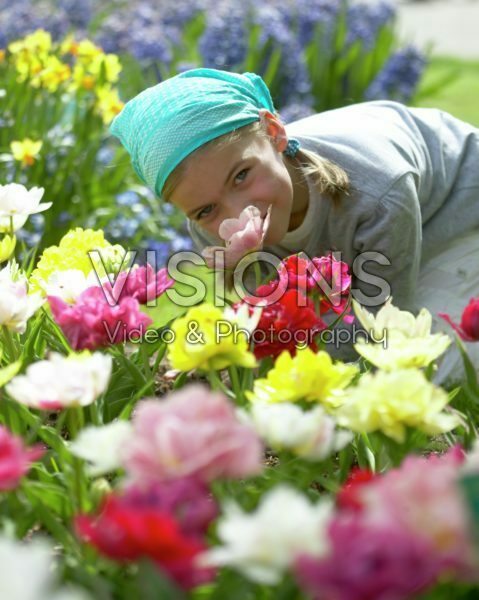Girl smelling tulip Girl smelling tulip