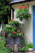 Hanging basket