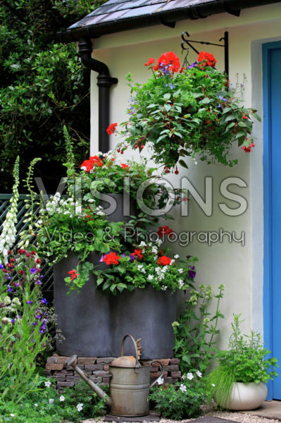 Hanging basket