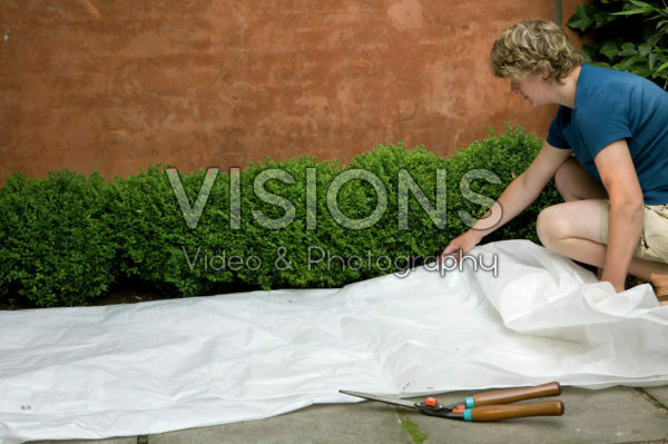 Doek om buxus snoeisel op te vangen