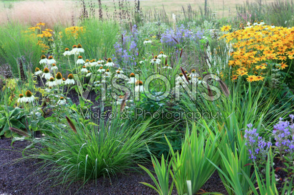 Autumn border Autumn border