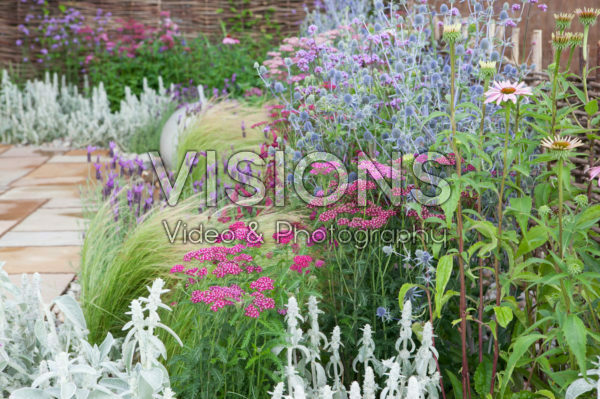 Border in roze en blauw Border in roze en blauw