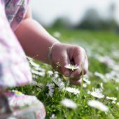 Girl picking daisies
