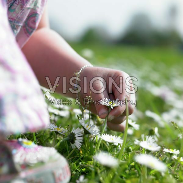 Girl picking daisies