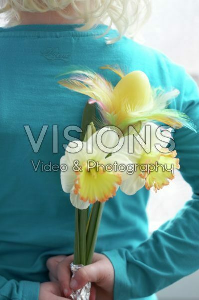 Hands holding narcissus