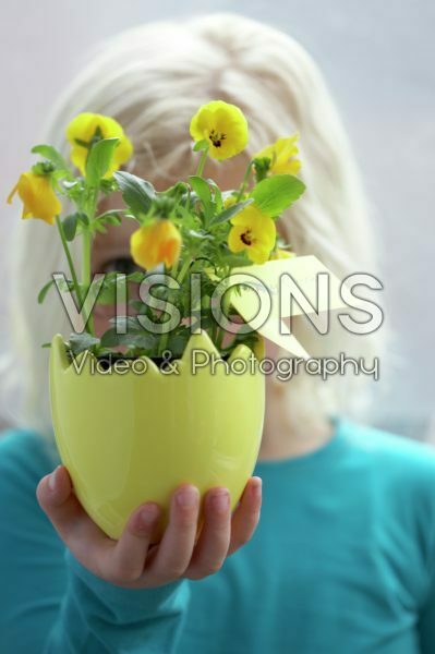 Girl holding pot of Viola