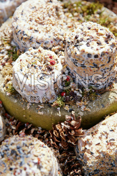 Vetbollen op plateau