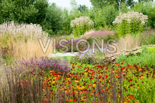 Vaste planten border