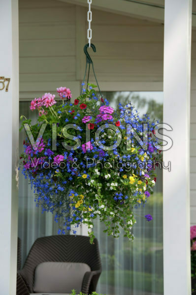 Hanging basket