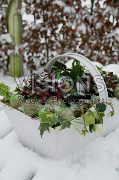 Bevroren winter container Bevroren winter container