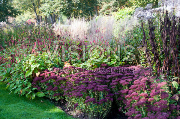 Autumn border