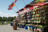 Kraam met bloembollen