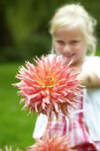 Meisje met dahlia