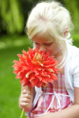 Meisje met dahlia