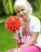 Meisje met dahlia