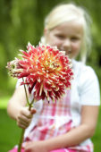 Meisje met dahlia