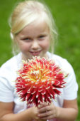 Meisje met dahlia