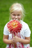 Meisje met dahlia