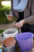 Bollen planten