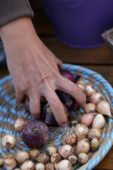 Mand met bollen