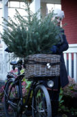 Kerstboom in fietsmand