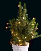 VIDEO Christmas tree