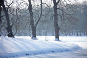 Winter image