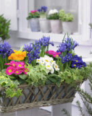 Spring container