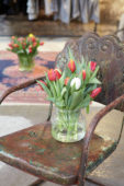 Tulpen op oude stoel