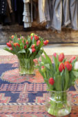 Tulpen in kleding winkel