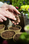 Filling pots with soil