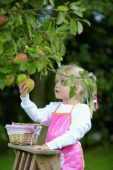 Meisje plukt appels