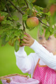 Meisje plukt appels