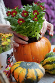 Pumpkin flowerpot