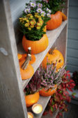 Pumpkin flowerpots