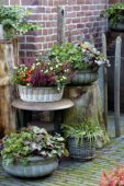 Autumn containers