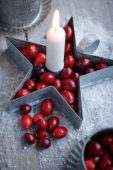 Cranberries
