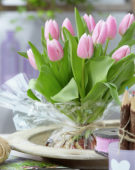 Tulipa Gabriella