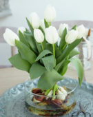 Tulipa Snowboard