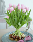 Tulipa Gabriella
