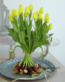 Tulipa Kikomachi